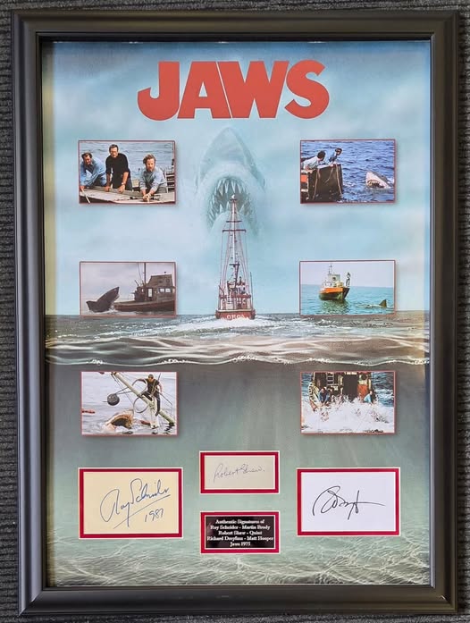 Jaws Triple-Signed Cast Display