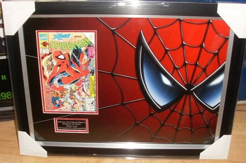 Stan Lee Spider-Man Signed Montage